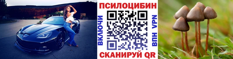 Галлюциногенные грибы Cubensis как найти закладки Всеволожск
